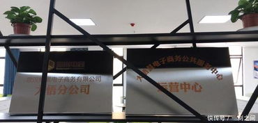 大悟 电子商务振兴农村经济 农特产品销售节节攀升 经营电子商务书写幸福新篇